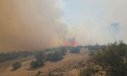 Balıkesir Kepsut’ta Orman Yangını! Ekipler Havadan ve Karadan Müdahale Ediyor