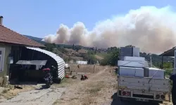 Son Dakika! Kocaeli Yanıyor! Karamürsel'de Orman Yangını Çıktı!