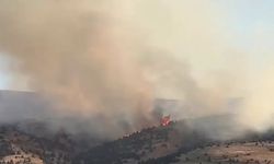 Sivas Yanıyor! Anız Yangını Ormanlık Alana Sıçradı!