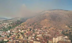 Tokat Yanıyor! Kent Merkezinde Orman Yangını!