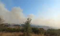 Bigadiç Güvemçetmi'de Orman Yangını Paniği! Alevlere Müdahale Sürüyor