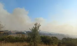 Bigadiç Güvemçetmi'de Orman Yangını Kontrol Altına Alındı!