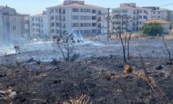 Bandırma’da Büyük Tehlike! Ot Yangını Yerleşim Yerlerini Tehdit Etti