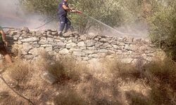 Balıkesir'de Korkutan Yangın! Mesire Alanında Orman Yangını Çıktı!