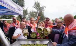 Zeytin Hasat Festivali’nde Kadın Üreticiler İçin Büyük Fırsat! Başvurular Başladı!