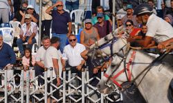 Ayvalık’ta İlk Kez Rahvan At Yarışları Düzenlendi: 156 Atla Türkiye Rekoru Kırıldı