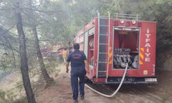 İvrindi Büyükyenice'de orman yangını!