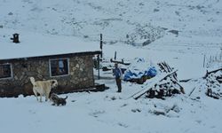 Karadeniz Kışı Yaşamaya Başladı! Rize'ye Mevsimin İlk Karı Düştü! Kar Kalınlığı 10 Santimetreye Ulaştı!