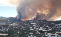 Antalya Alanya'da Çıkan Orman Yangını Büyüdü! Mahallelere Sıçradı, 20 Ev Tahliye Edildi!