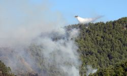 Muğla Dört Bir Yandan Yanıyor! Köyceğiz'de Çıkan Orman Yangınına 2. Gününde Müdahale Sürüyor!