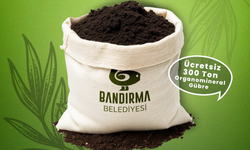 Bandırma Belediyesi’nden Zeytin Üreticilerine Büyük Destek