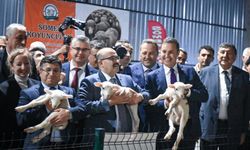Tarım ve Hayvancılığın Kalbi Balıkesir’de Atacak! Yerli Irklar, Teknoloji ve İnovasyon Bir Arada