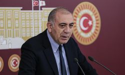 Gürsel Tekin Kimdir? Kaç Yaşında, Nereli? Siyasi Kariyeri Ne?