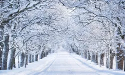 Meteoroloji Duyurdu! Soğuk Hava Dalgası Geliyor! Yaylalara Kar Yağışı Uyarısı!