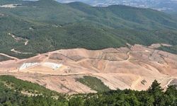 Kanadalı şirket gitti, TUMAD geldi... Kazdağları'nda değişen bir şey yok!