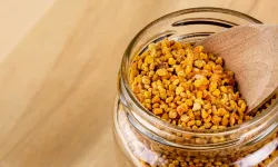 Propolis Nedir, Ne İşe Yarar? Bağışıklığı Güçlendiren Mucizevi Doğal Madde!