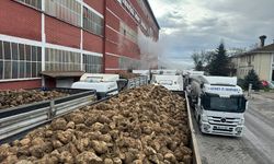 Şeker Pancarı Alım Fiyatı Belli Oldu: Tonu 2 Bin 975 Lira