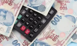 Çalışan Emeklilere Müjde! İkinci Maaş Dönemi Başlıyor! Tamamlayıcı Emeklilik Sistemi (TES) Nedir?