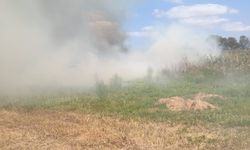 Balıkesir'de Korkutan Yangın! Manyas ve Bandırma Arasında Alevler Yükseldi! Müdahale Devam Ediyor!
