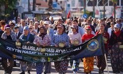 20. Ayvalık Uluslararası Zeytin Hasat ve Turizm Festivali Başlıyor