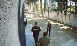 Belediye Başkanı zabıta memurunu sopayla dövdü!