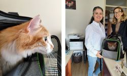 Servet Dubai Yolcusu! Balıkesir’den Dubai’ye Giden Sevimli Dost