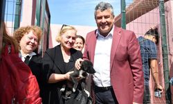 Karesi'de Doğal Yaşam Alanı'ndan sonra şimdi de mama fabrikası