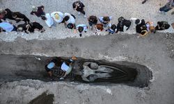 Dev balina iskeleti müzede sergilenecek