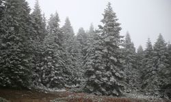 Ilgaz Dağı’nda Mevsimin İlk Karı! Zirveler Beyaza Büründü