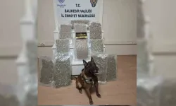 Balıkesir’de Uyuşturucu Operasyonu: 12 Kilo 600 Gram Esrar Ele Geçirildi!