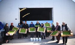 Kadın çiftçiler Büyükşehir'in desteğinden memnun