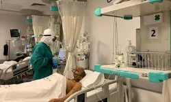 Türkiye’de Deli Dana Alarmı! 2 Kişide Görüldü! Belirtileri Neler? Nasıl Bulaşır?