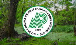 DKMP 240 Personel Alacak: Başvuru Süreci Nasıl İşleyecek? Kimler Başvurabilir? Şartlar Neler?