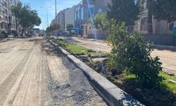 Edremit Caddesi’nde Trafik Çilesi: “İki Şerit Birden Kapatılır mı?”