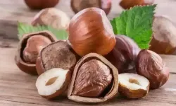 Fındık Fiyatlarında Artış Devam Ediyor! Serbest Piyasada Fındık Fiyatları Ne Kadar Oldu?