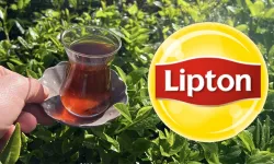 Dev Çay Markası Lipton Türkiye'den Çekiliyor mu? Tesislerini Kime Devrediyor?