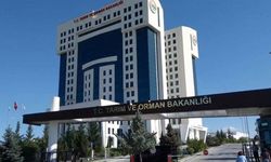 Tarım ve Orman Bakanlığı Personel Alımı Başvuruları Ne Zaman Başlayacak? Başvuru Şartları Neler, Nasıl Başvurulur?