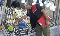 Balıkesir'de Balıkçılık ve Su Ürünlerinde Eş Zamanlı Denetim