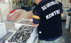 Burhaniye’de Balıkçılık Denetimleri Sıklaştı: Su Ürünlerinde Eş Zamanlı Kontrol!
