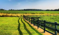 Altıeylül Belediyesi kırsaldaki arsaları yeniden satışa çıkardı