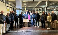 Erdek Belediyesi’nden Zeytin Hasadı Sezonuna Bereket Dileği