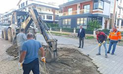 Edremit Belediyesi Altınoluk’ta Yol Onarım Çalışmalarını Yerinde İnceledi