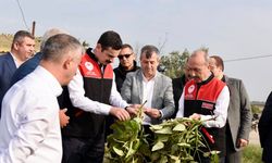 Manyas’ta Coğrafi İşaretli Kazak Fasulyesi Hasat Festivali Düzenlendi