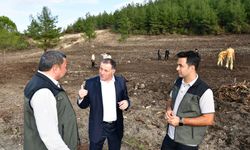 Balıkesir Orman Bölge Müdürü Musa Şen, 11 Kasım Milli Ağaçlandırma Günü Hazırlıklarını İnceledi