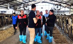Balıkesir’de Ari Büyükbaş Süt İşletmesine Ziyaret: Üretim ve Hayvan Sağlığı İncelendi