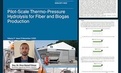 Otel Endüstrisinde Sürdürülebilirlik: Çevreci Uygulamalar Performansı Artırıyor