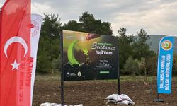 Bigadiç’te 11 Kasım Milli Ağaçlandırma Günü Etkinliği Düzenlendi