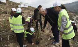 Dursunbey’de 11 Kasım Milli Ağaçlandırma Günü Etkinliği