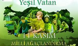 Yağış Nedeniyle Fidan Dikim Etkinlikleri Ertelendi