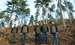 Balıkesir’de Karaçam Ormanlarında Gençleştirme Çalışmaları Sürüyor